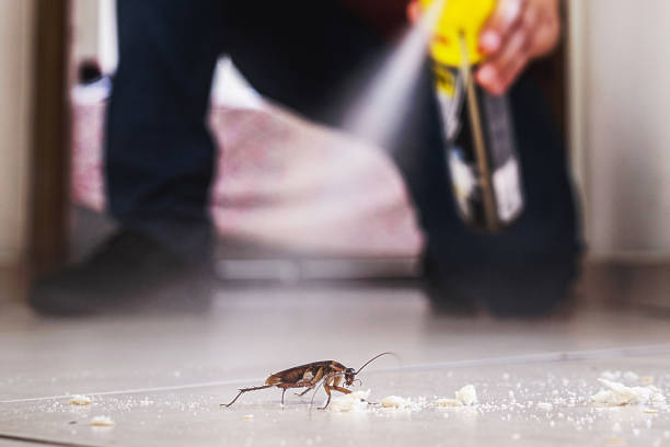 Greenville, IL Pest Control Company